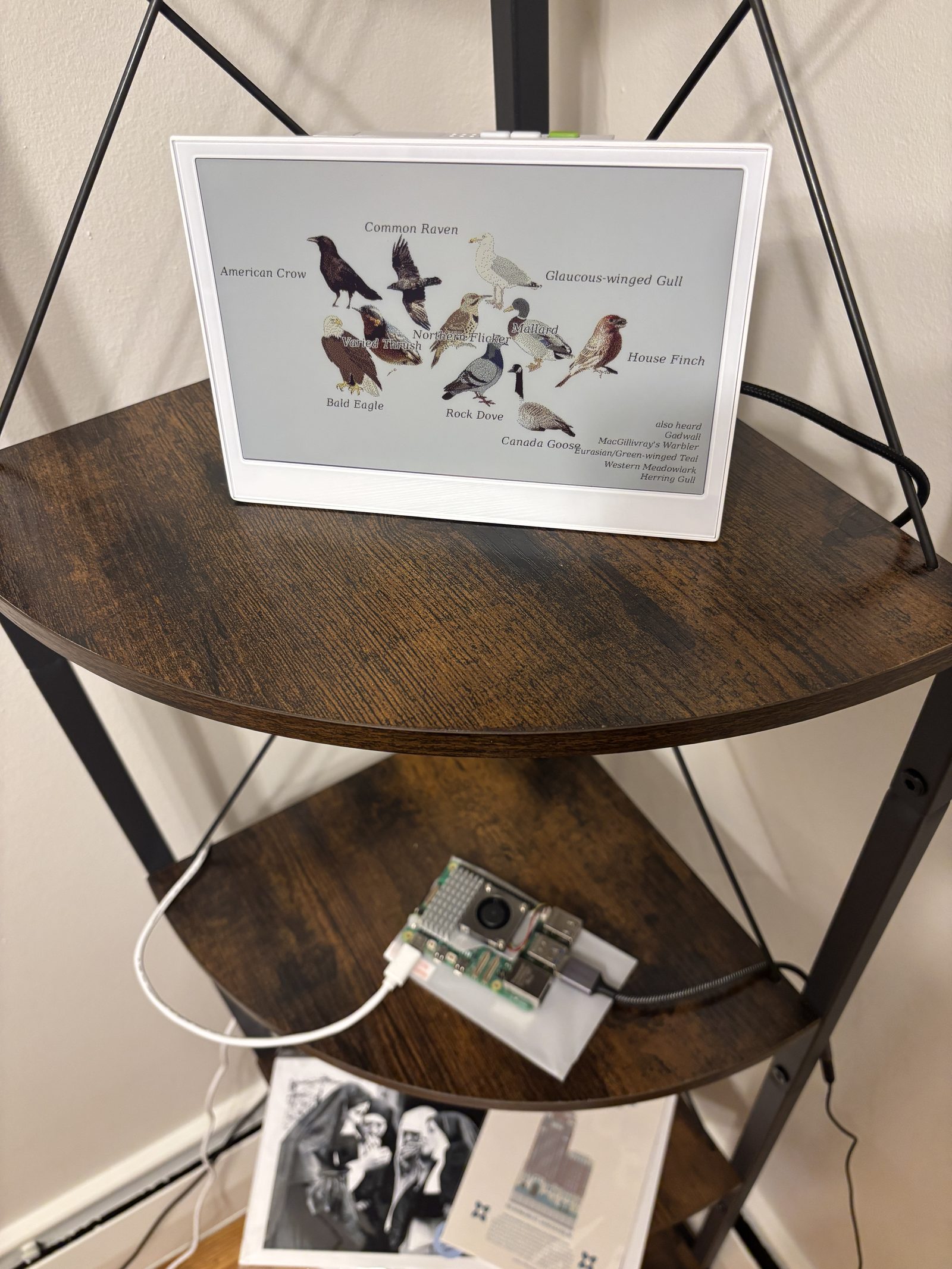 A framed e-ink display on a shelf showing illustrated birds labelled with their names: American Crow, Common Raven, Glaucous-winged Gull, Bald Eagle, Varied Thrush, Northern Flicker, Mallard, House Finch, Rock Dove and Canada Goose. A Raspberry Pi sits on the shelf below it.